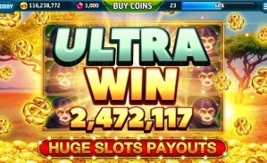 brl222 bet